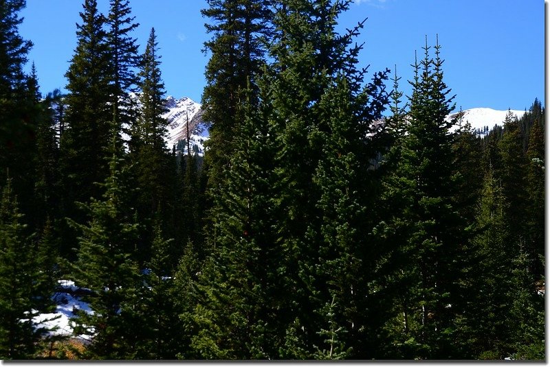 Looking at Red Peak through the trees