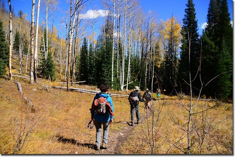 Gore Range Trail, Silverthorne (18)