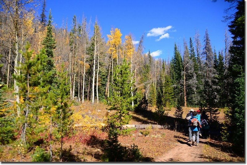 Gore Range Trail, Silverthorne (20)