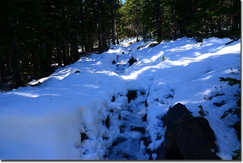 Flattop Mountain Trail 3