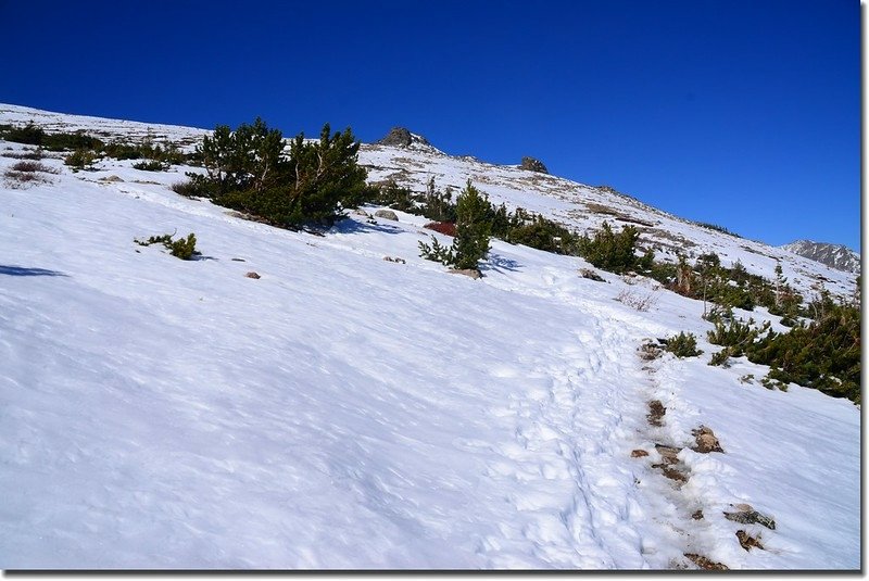 Flattop Mountain Trail 4