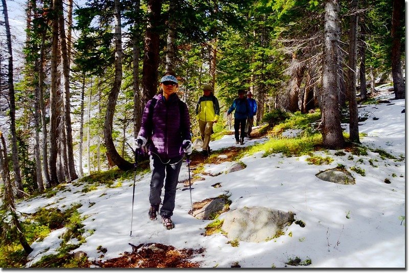 Walking through a snow-covered forest 1