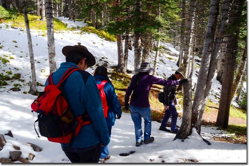 Walking through a snow-covered forest 2