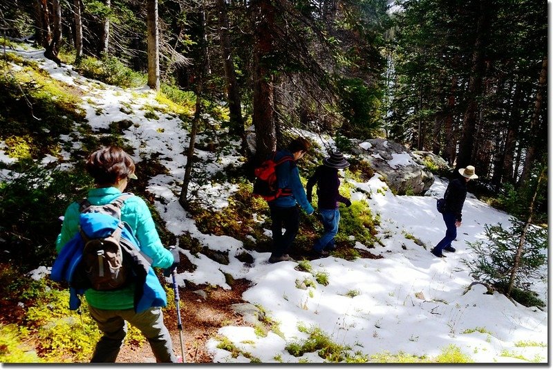 Walking through a snow-covered forest 3