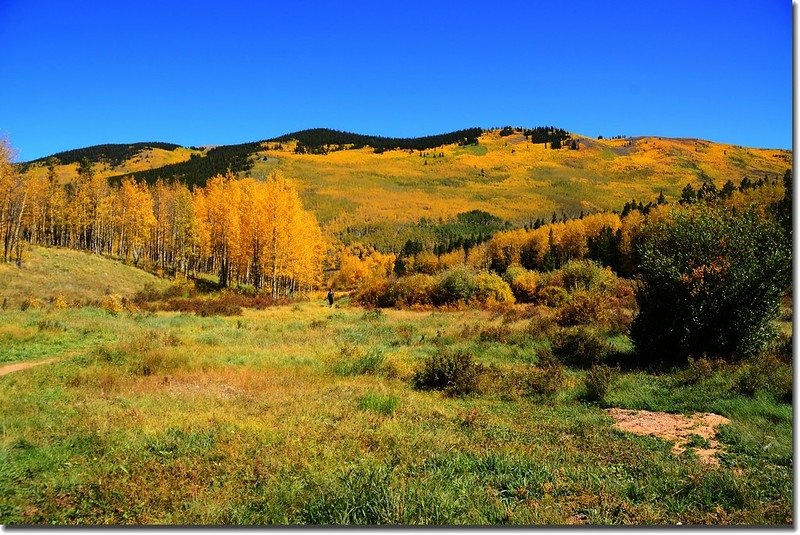 Fall colors, Kenosha Pass  (41)