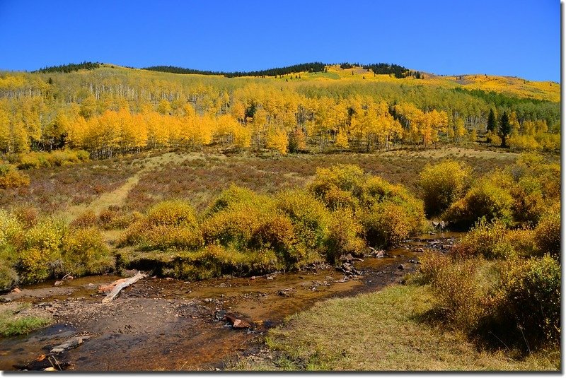 Fall colors, Kenosha Pass  (38)