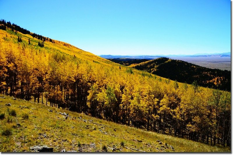 Fall colors, Kenosha Pass  (29)