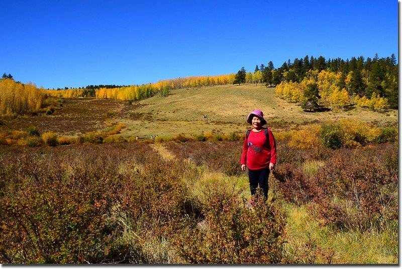 Fall colors, Kenosha Pass  (14)