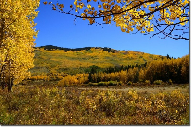 Fall colors, Kenosha Pass  (10)