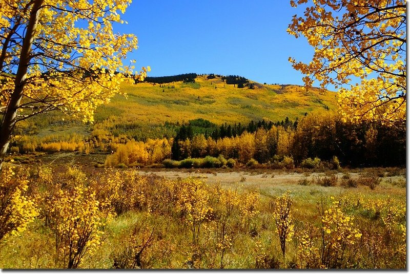 Fall colors, Kenosha Pass  (8)