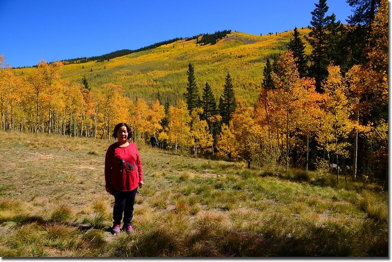 Fall colors, Kenosha Pass  (6)