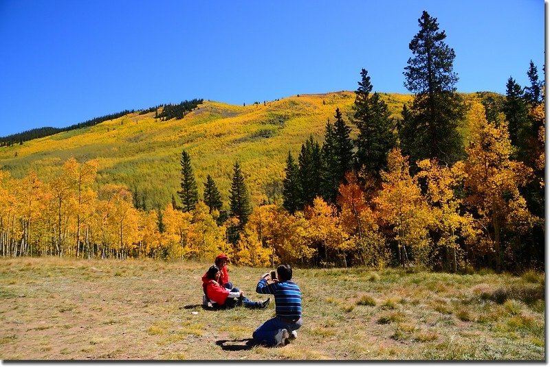 Fall colors, Kenosha Pass  (4)