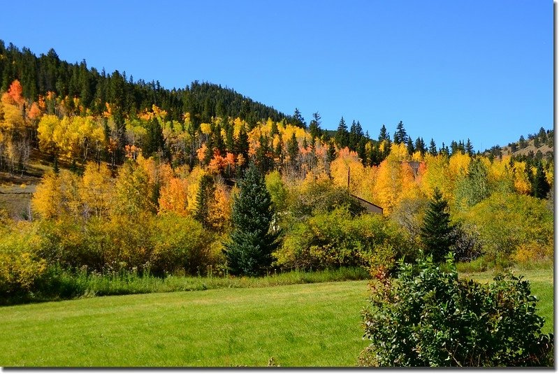 Fall colors, Kenosha Pass  (1)