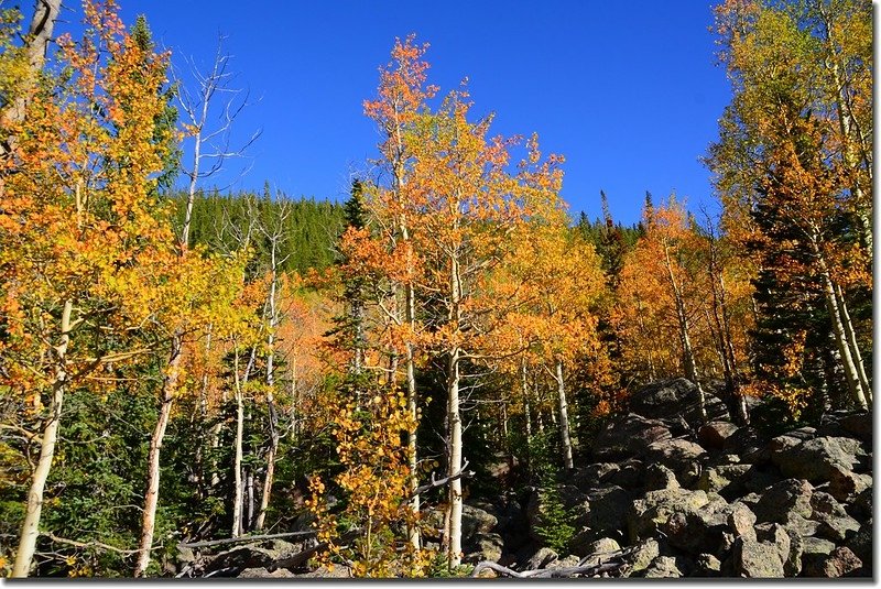 Bear Lake in Fall, taken from Bear Lake upper (6)