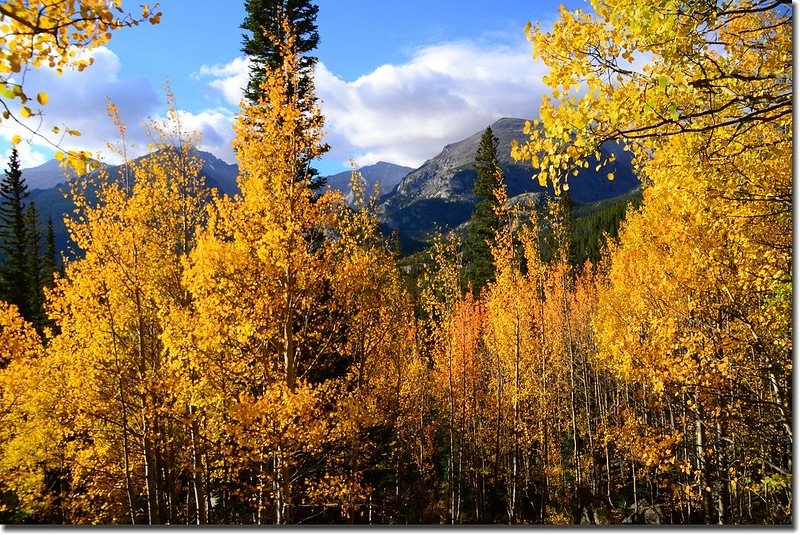 Bear Lake in Fall, taken from Bear Lake upper (2)