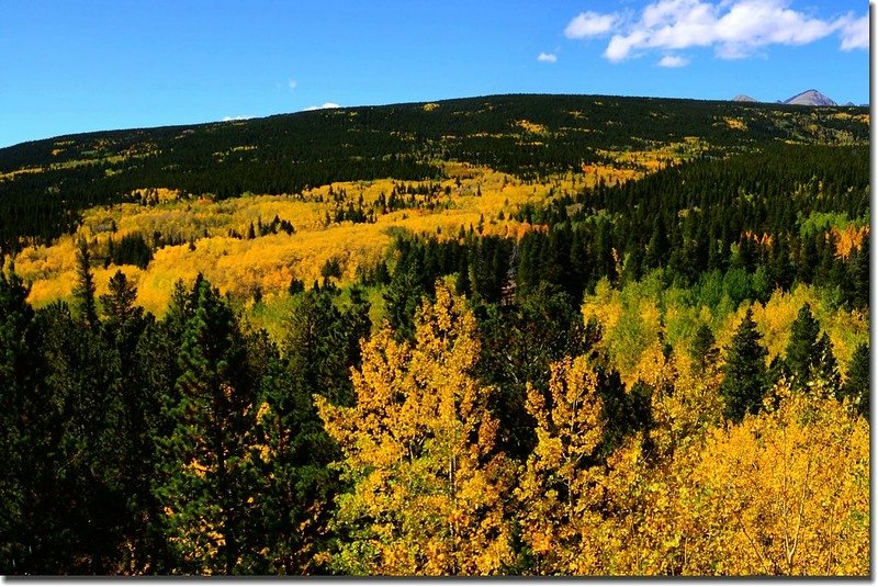 Peak to Peak Scenic Byway in Fall, Colorado (11)