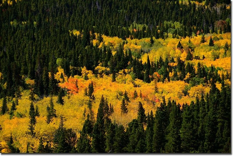 Peak to Peak Scenic Byway in Fall, Colorado (8)