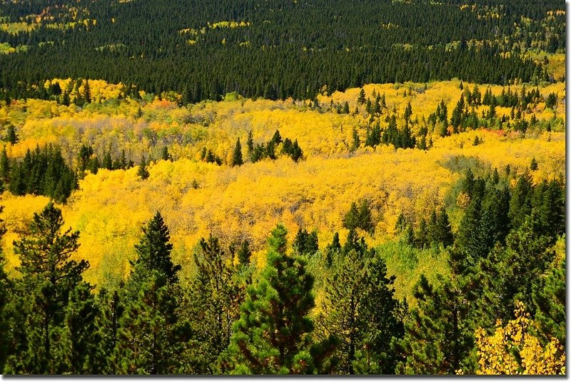 Peak to Peak Scenic Byway in Fall, Colorado (7)