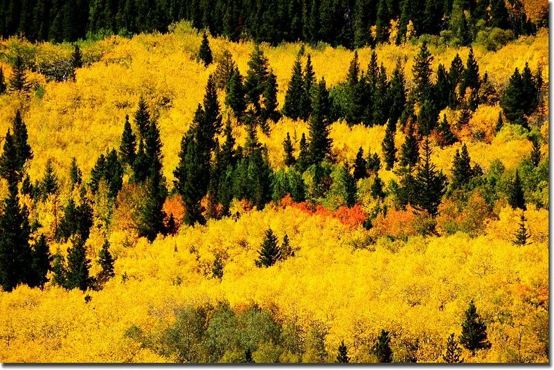 Peak to Peak Scenic Byway in Fall, Colorado (5)