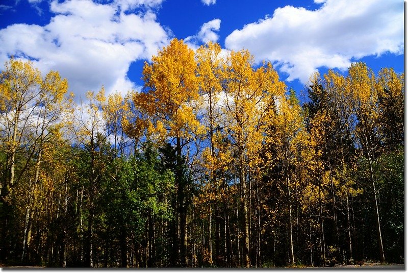 Peak to Peak Scenic Byway in Fall, Colorado (3)