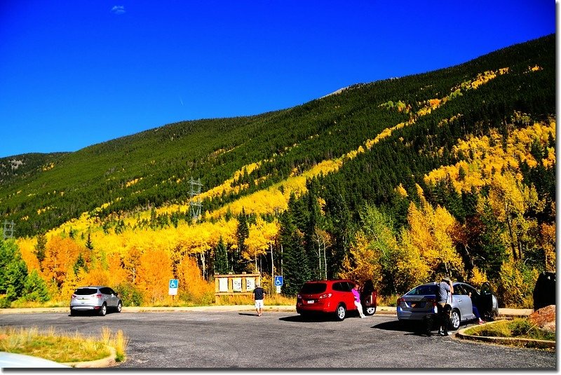 Fall colors, Guanella Pass, Colorado (41)