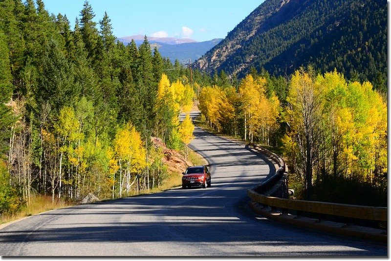 Fall colors, Guanella Pass, Colorado (1)