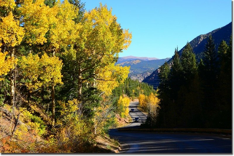 Fall colors, Guanella Pass, Colorado (26)