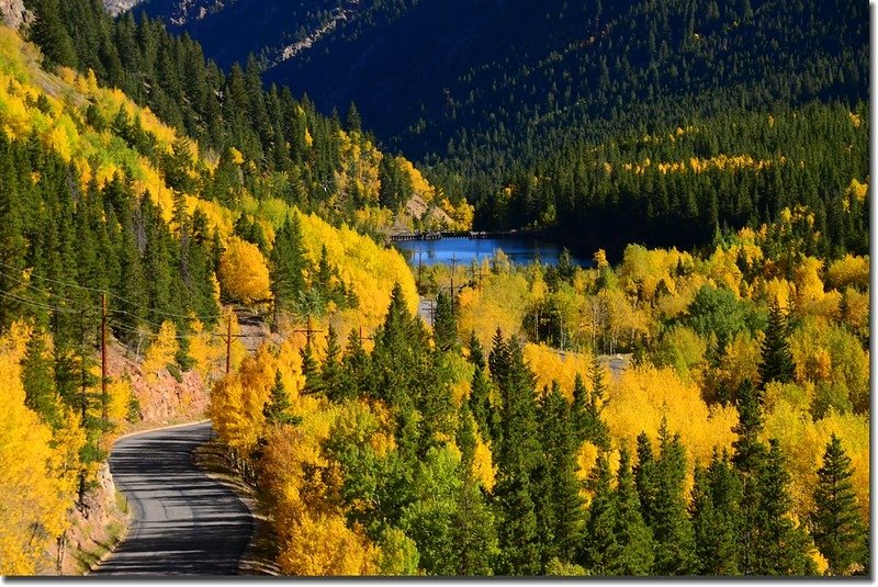 Fall colors, Guanella Pass, Colorado (29)