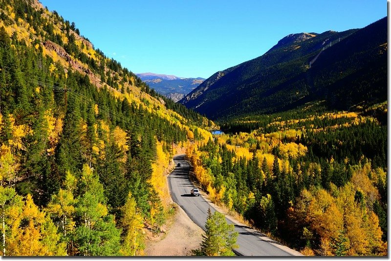 Fall colors, Guanella Pass, Colorado (28)