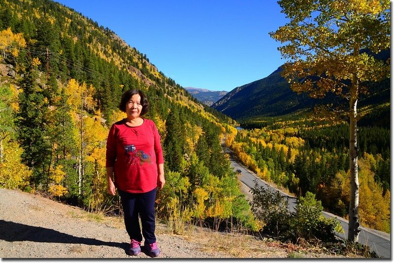 Fall colors, Guanella Pass, Colorado (27)