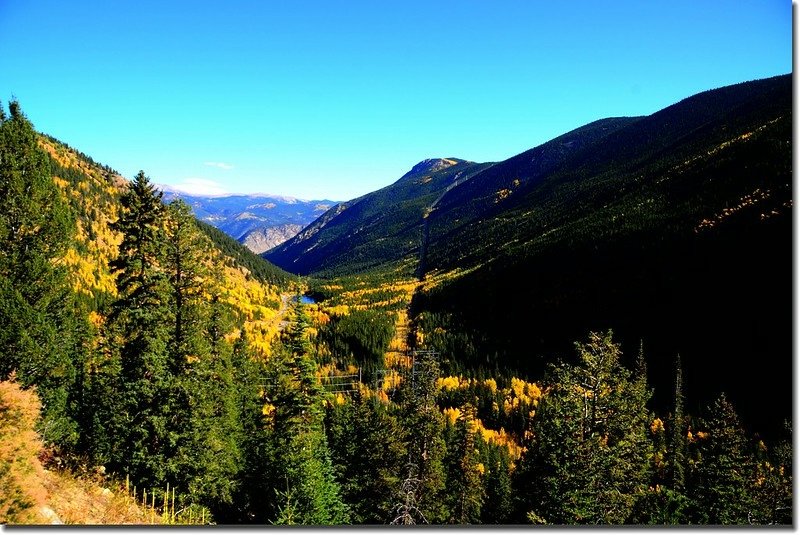 Fall colors, Guanella Pass, Colorado (32)