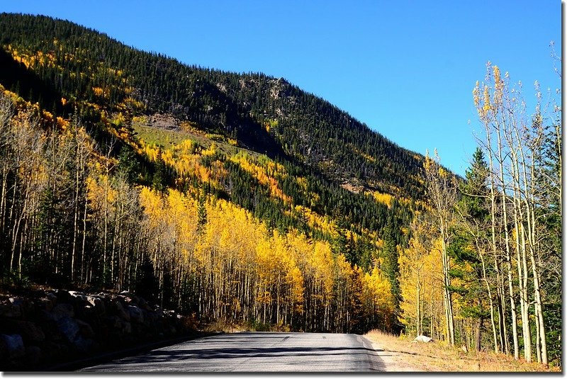 Fall colors, Guanella Pass, Colorado (40)