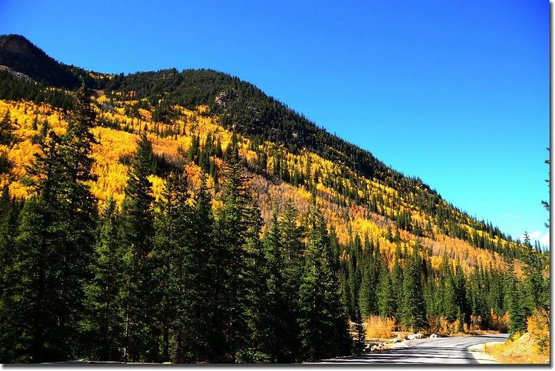 Fall colors, Guanella Pass, Colorado (39)