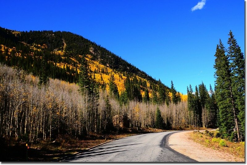 Fall colors, Guanella Pass, Colorado (38)