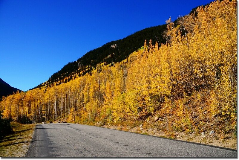 Fall colors, Guanella Pass, Colorado (34)