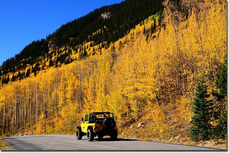 Fall colors, Guanella Pass, Colorado (33)