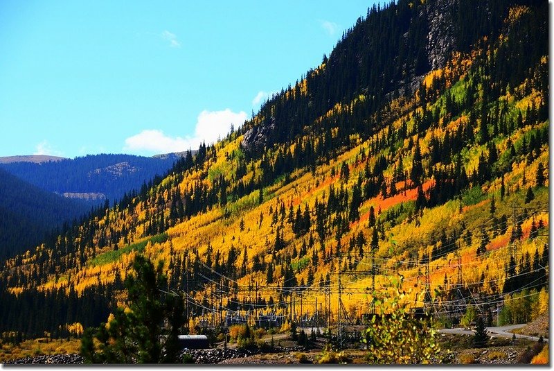 Fall colors, Guanella Pass, Colorado (4)