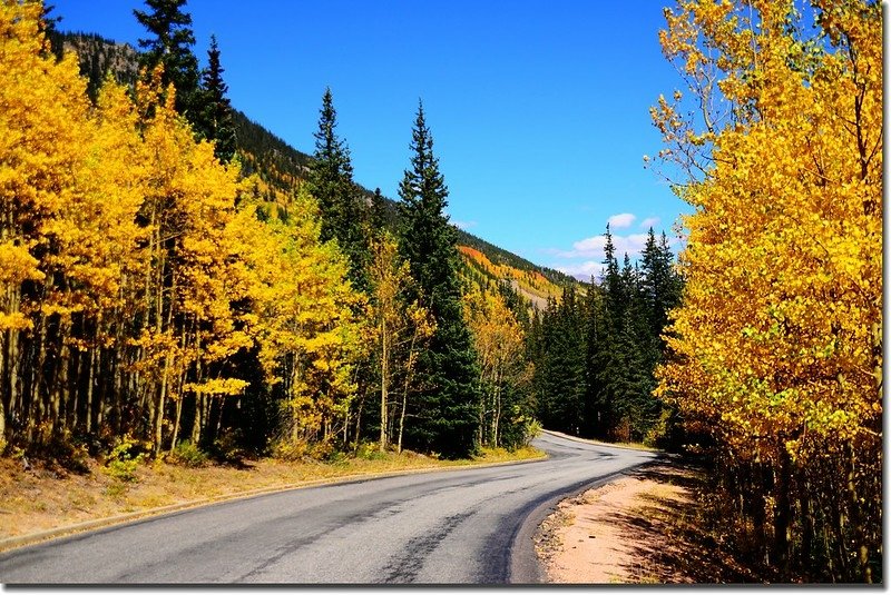 Fall colors, Guanella Pass, Colorado (24)