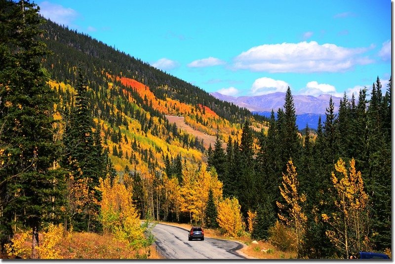 Fall colors, Guanella Pass, Colorado (23)