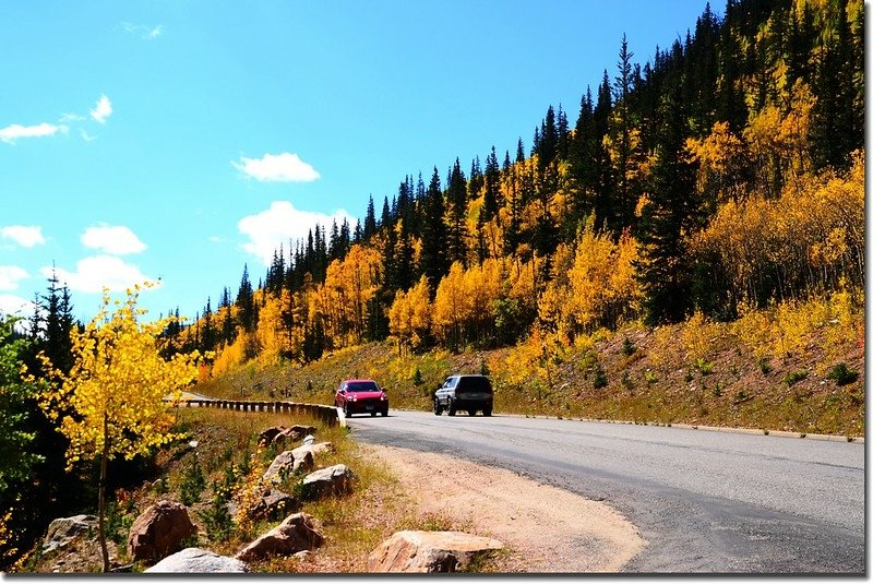 Fall colors, Guanella Pass, Colorado (22)