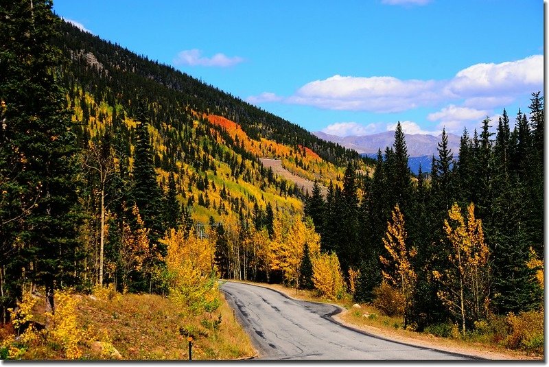 Fall colors, Guanella Pass, Colorado (21)