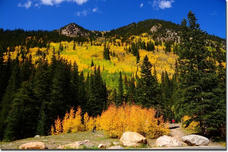 Fall colors, Guanella Pass, Colorado (20)