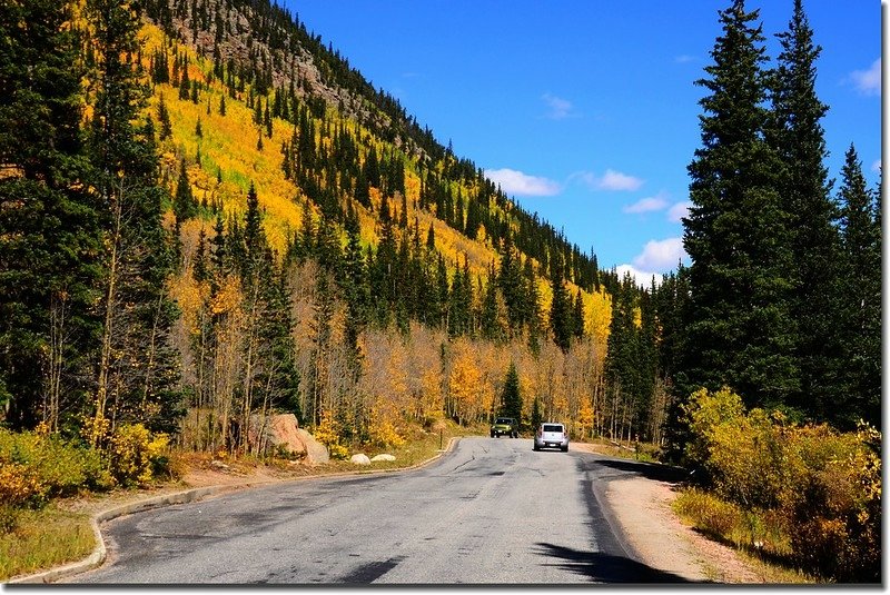 Fall colors, Guanella Pass, Colorado (19)