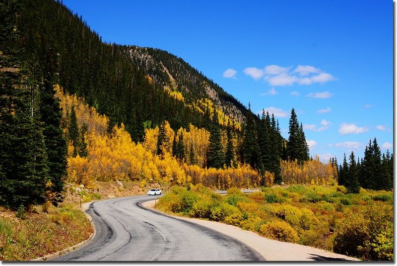 Fall colors, Guanella Pass, Colorado (17)