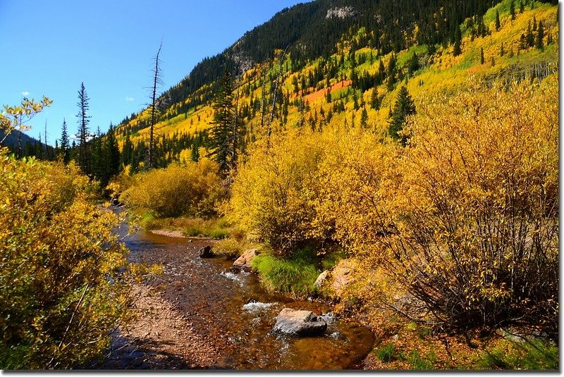 Fall colors, Guanella Pass, Colorado (6)