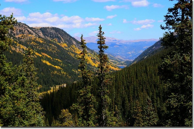 Fall colors, Guanella Pass, Colorado (16)