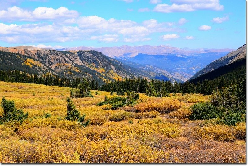 View to The Rockies from the summit of Guanella Pass, Colorado