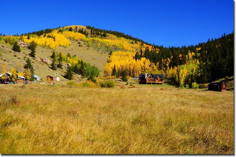 Fall colors, Guanella Pass, Colorado (35)