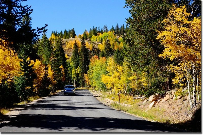 Fall colors, Guanella Pass, Colorado (36)