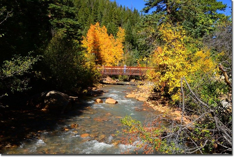 Duck Creek along Guanella Pass 1